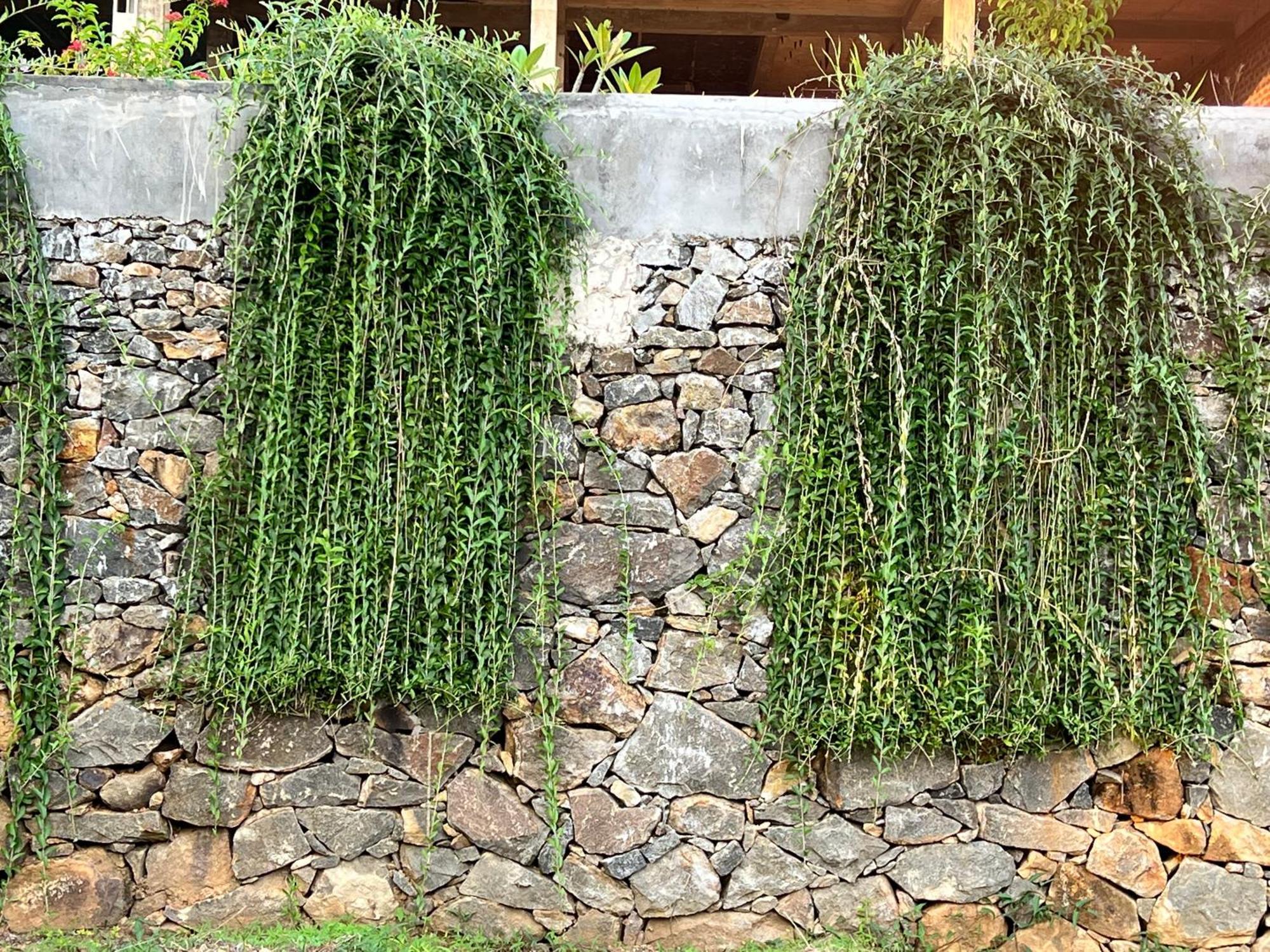 Kapaliya Unawatuna Exterior photo